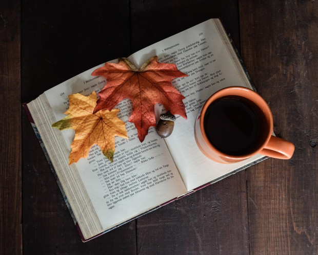 Herbstlaub+Buch