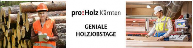 Proholz